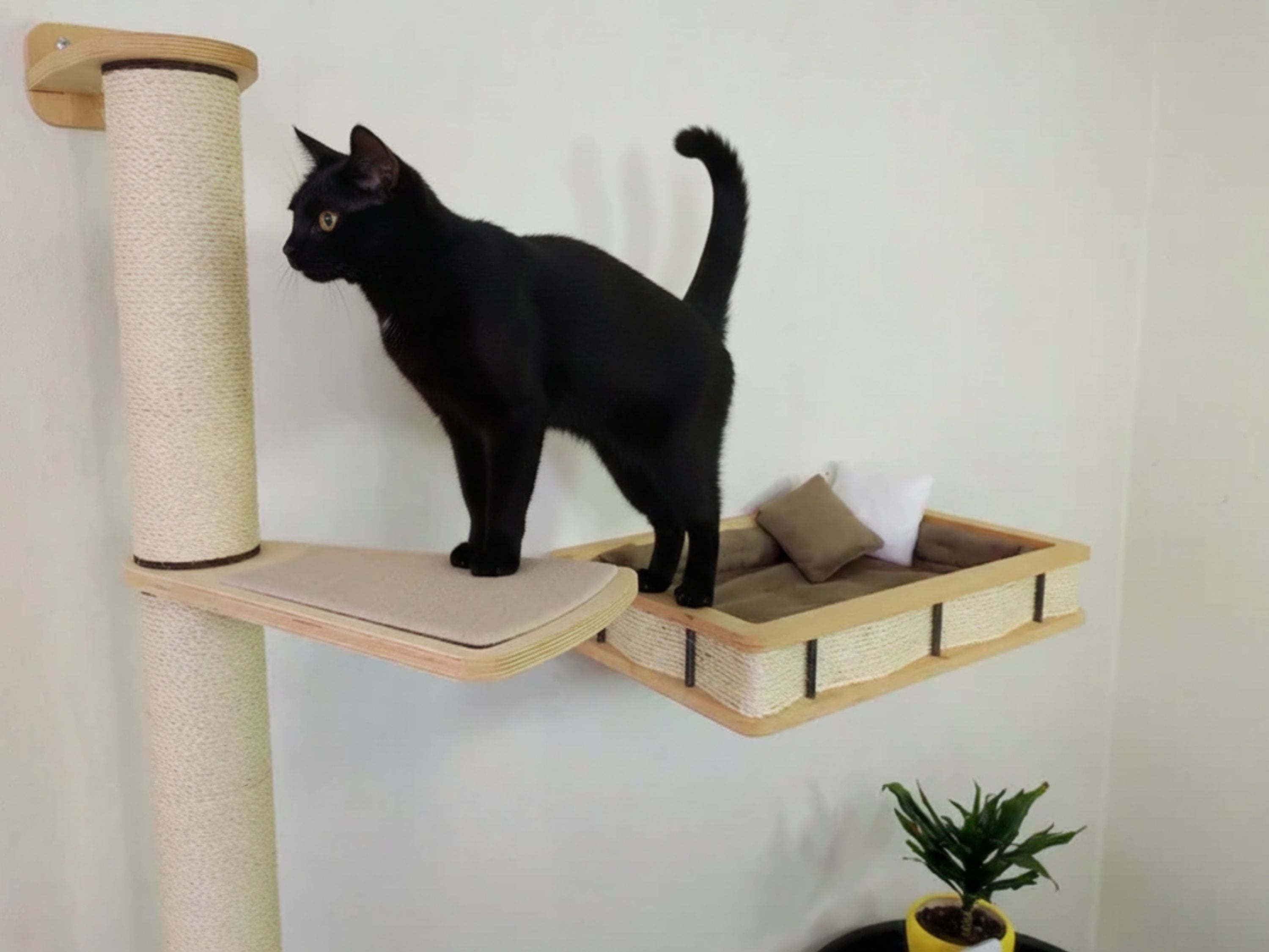 Wall Mounted Cat bed with Cat Scratching post