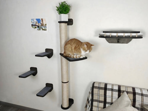 Cat Wall Furniture Set with Bed, Steps & Scratching Post "Viny"