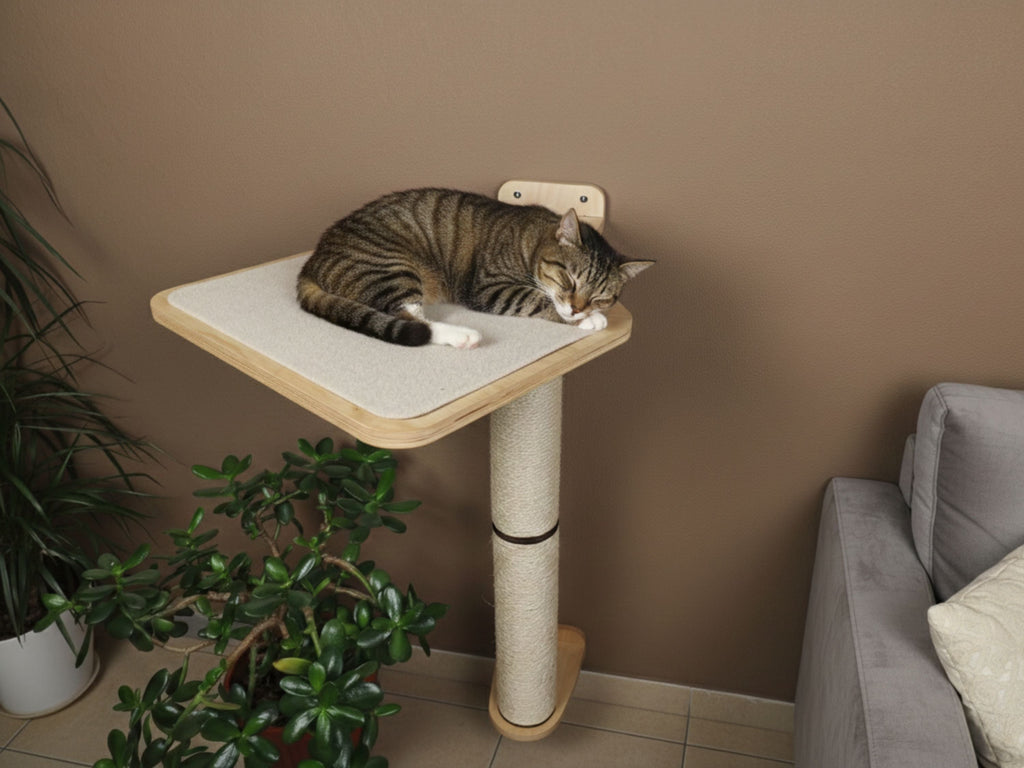 Cat Wall Scratcher Post (Wall-mounted)