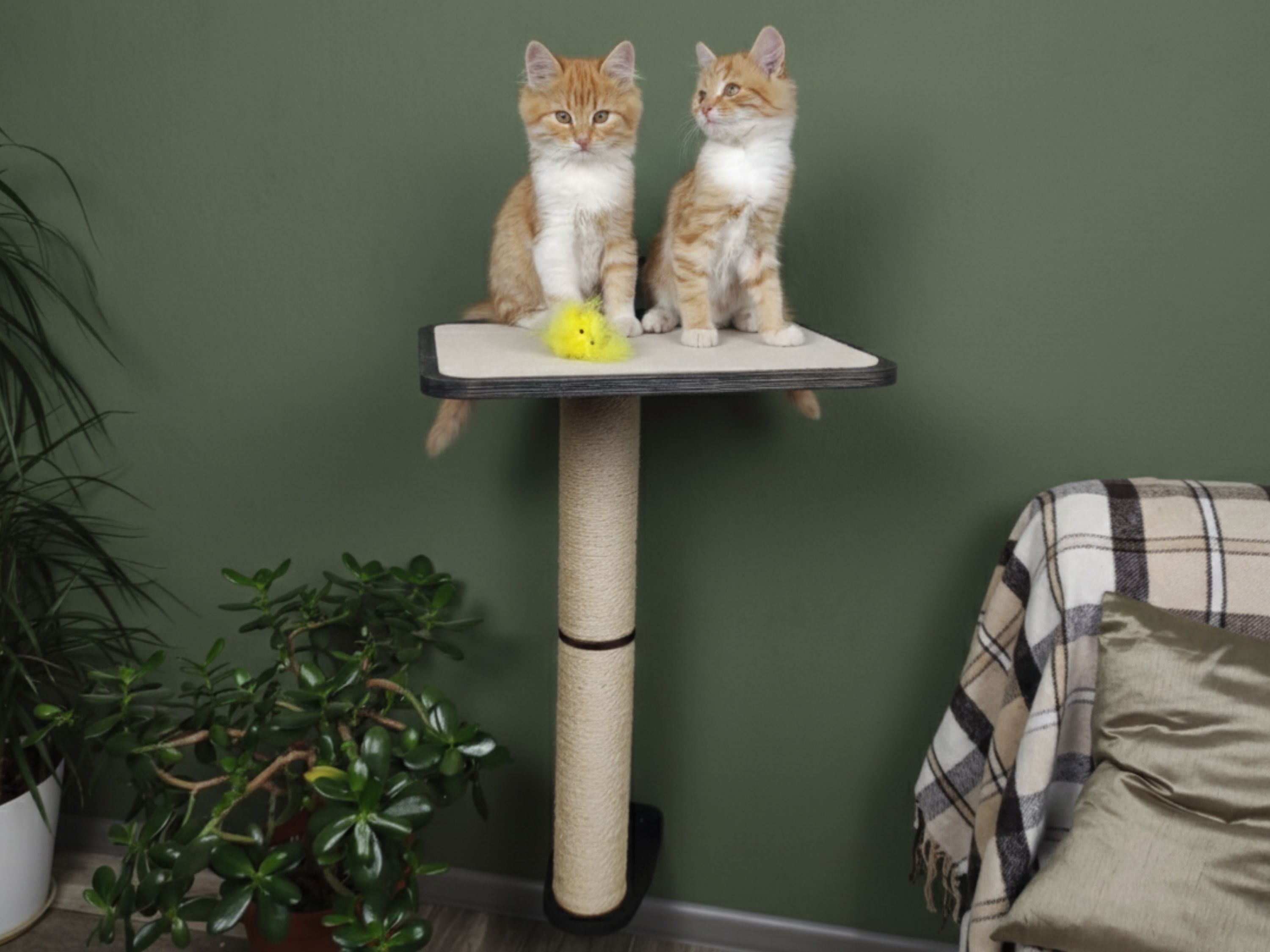 Cat Wall Scratcher Post (Wall-mounted)