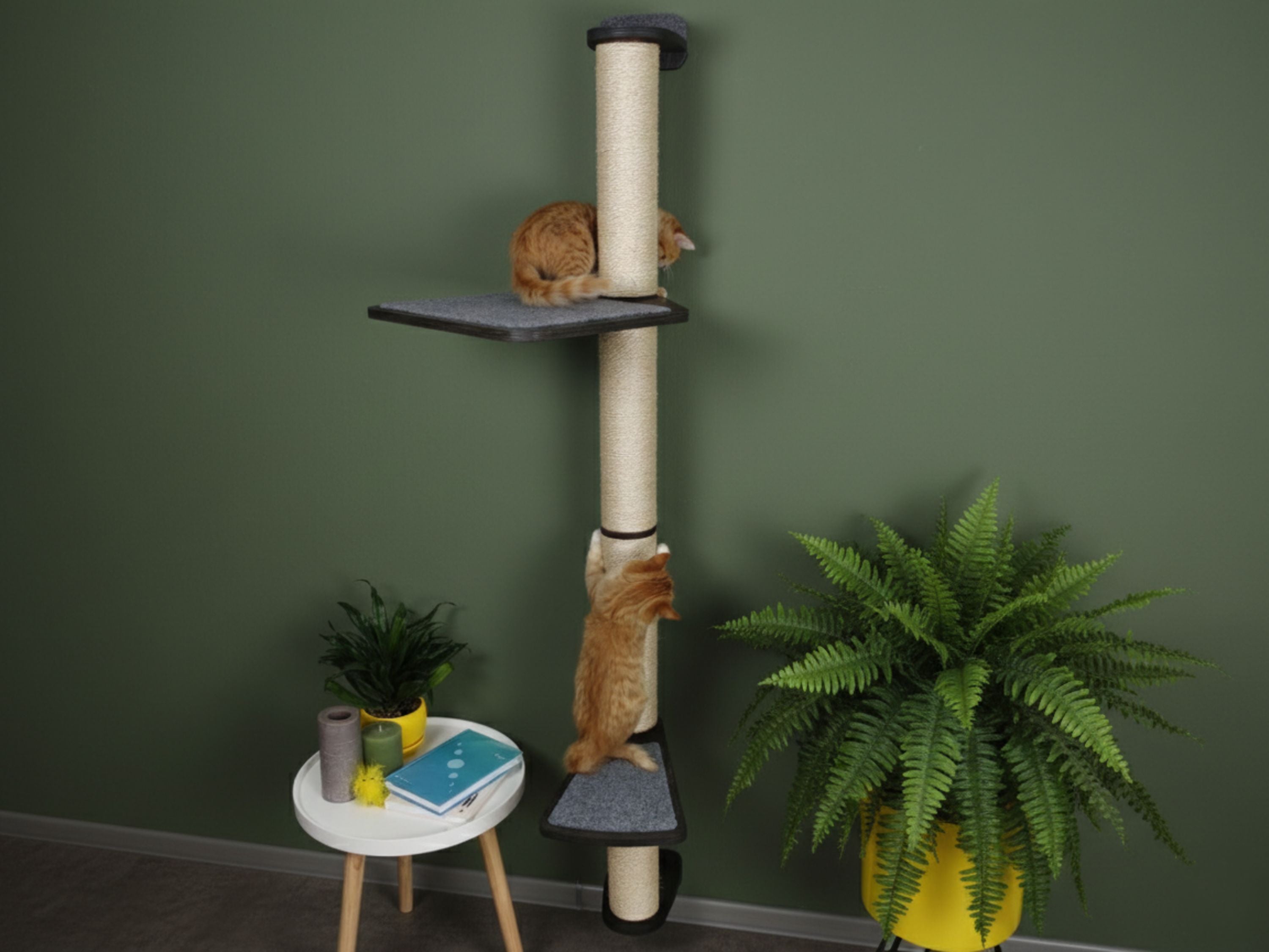 Wall-Mounted Cat Scratcher