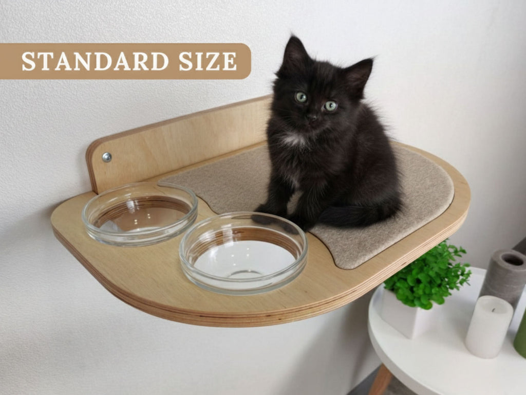 Wall-Mounted Cat Feeding Shelf