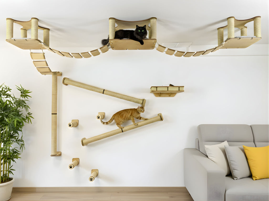Full Ceiling & Wall Cat System with Climbing Zone