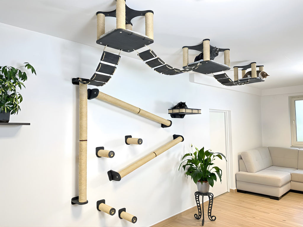 Full Ceiling & Wall Cat System with Climbing Zone