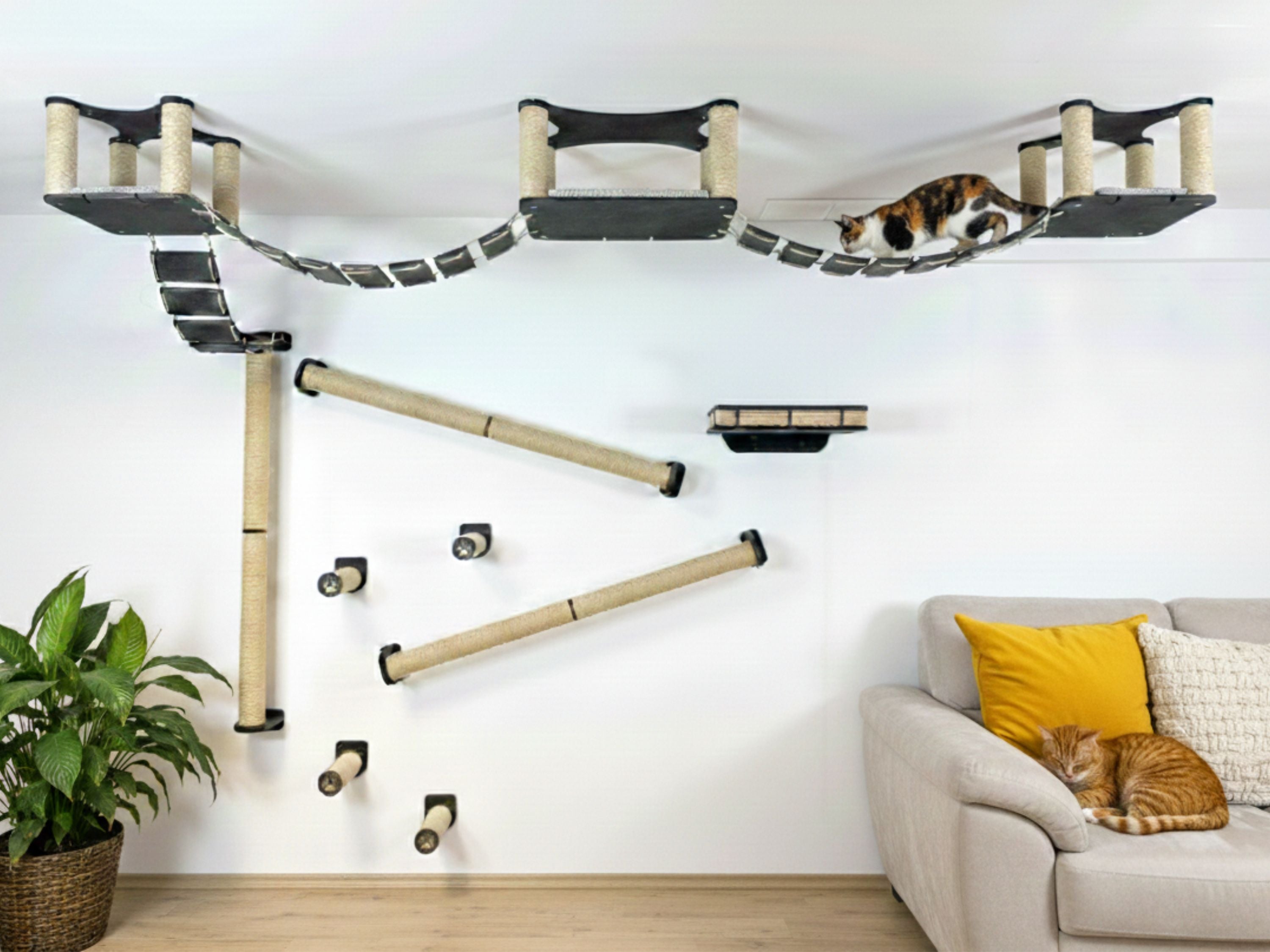 Full Ceiling & Wall Cat System with Climbing Zone