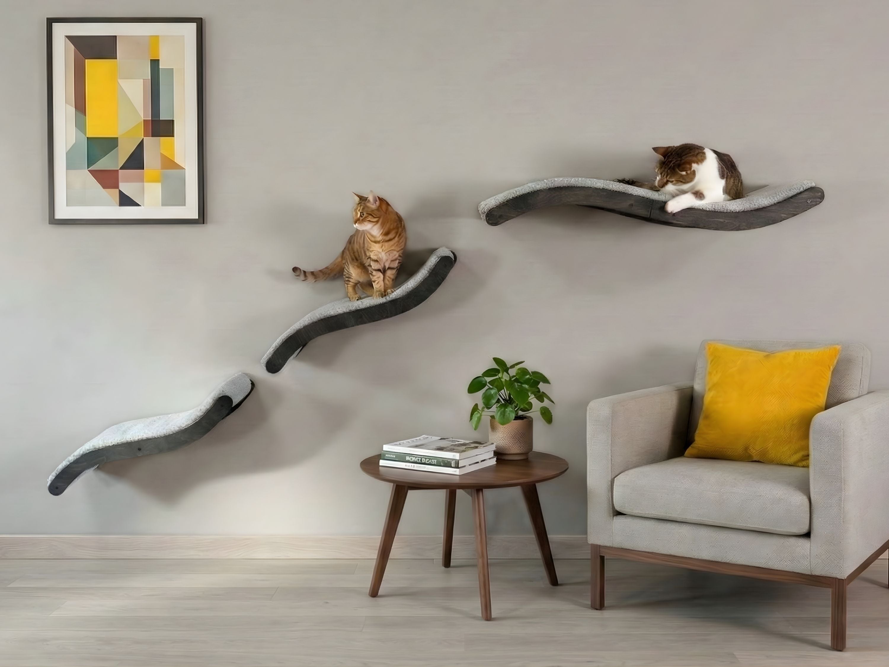 Curved Cat Wall Bed Set �C 3 Wall Shelves with Cushions