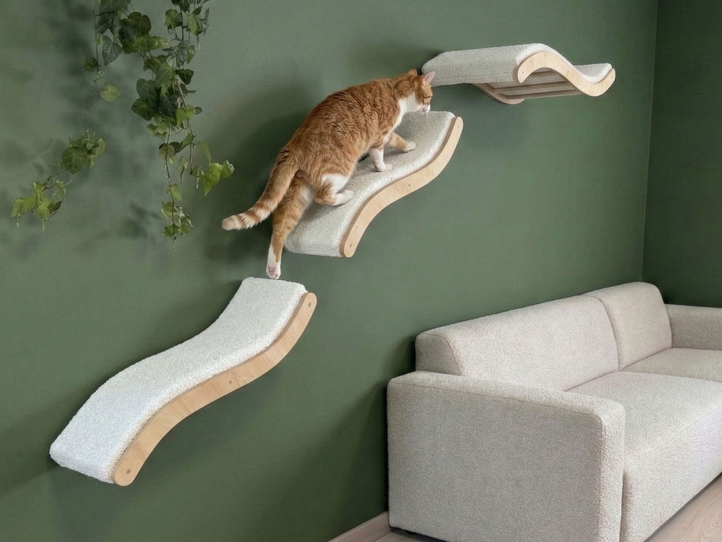 Cat Wall Shelves Set (3 Pieces) �C Curved Cat Bed with Cushions & 2 Steps