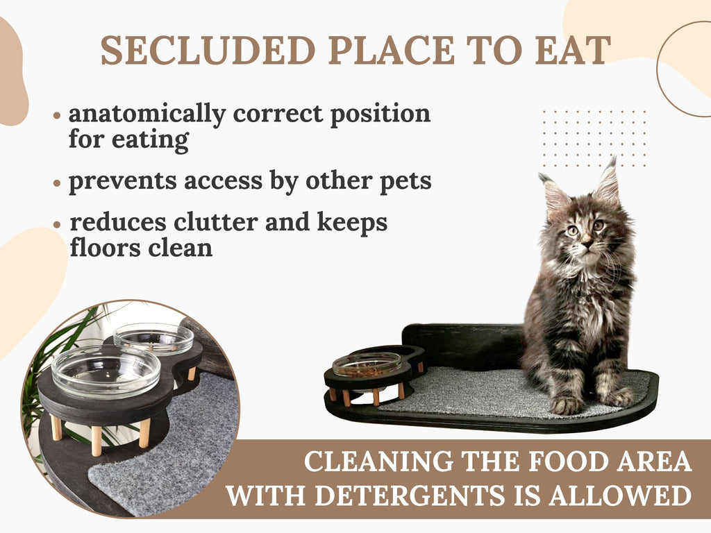 Elevated Сat Feeding Station (Wall Mounted)