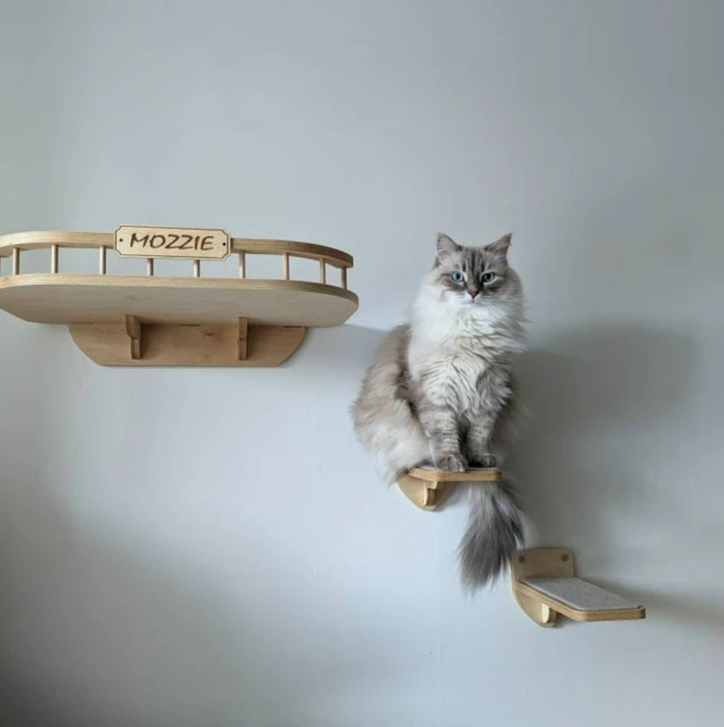 Complete Cat Wall Furniture Set - Large Cat Wall Shelf and 2 Cat Steps