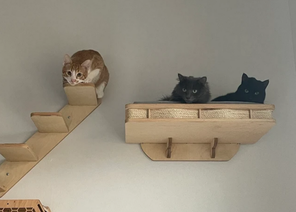 Modern Wall Mounted Cat Bed with Cushion