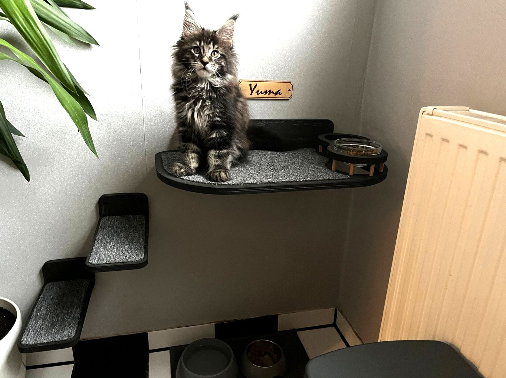 Set of Cat Wall Shelves with Food Bowls and Steps