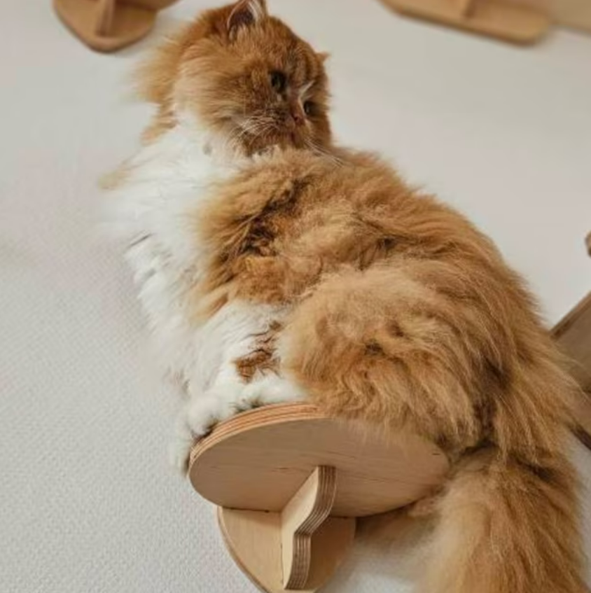 Wall Round Cat Step with Carpet