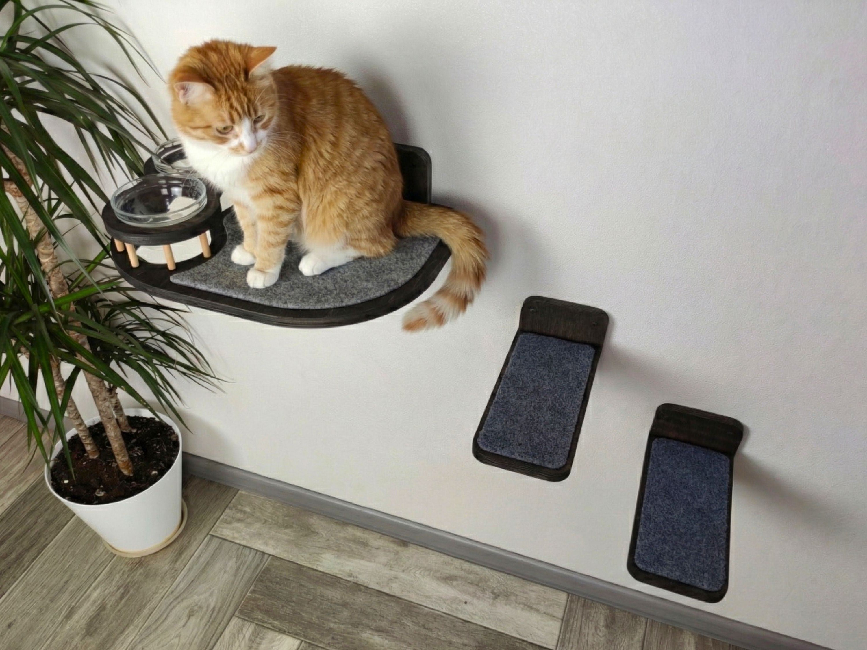 Cat Feeding Shelf with Bowls & Steps �?Elevated Wall Furniture