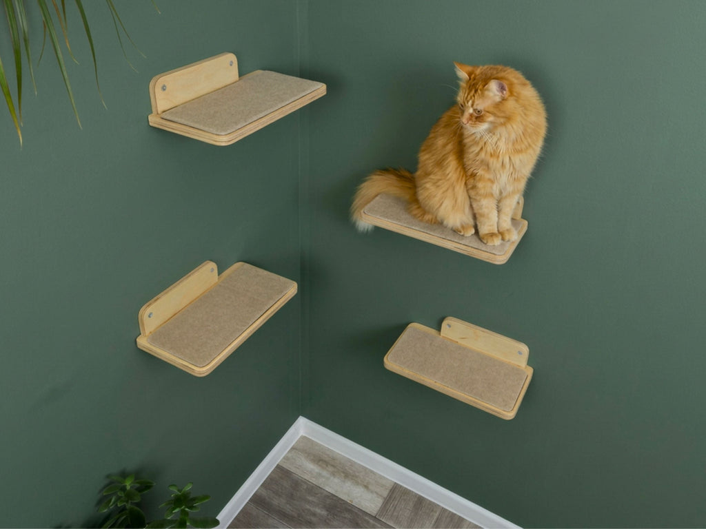 Set of Cat Wall Shelves for Room Corner