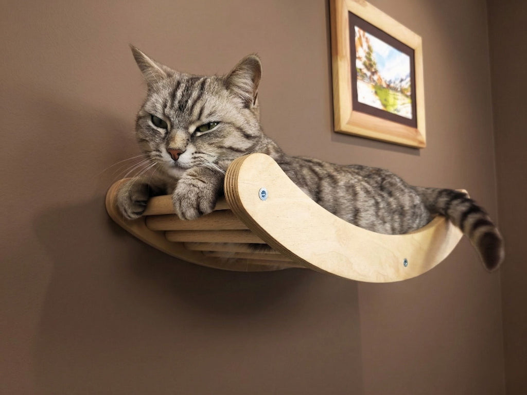 Single Wave Cat Climbing Shelf