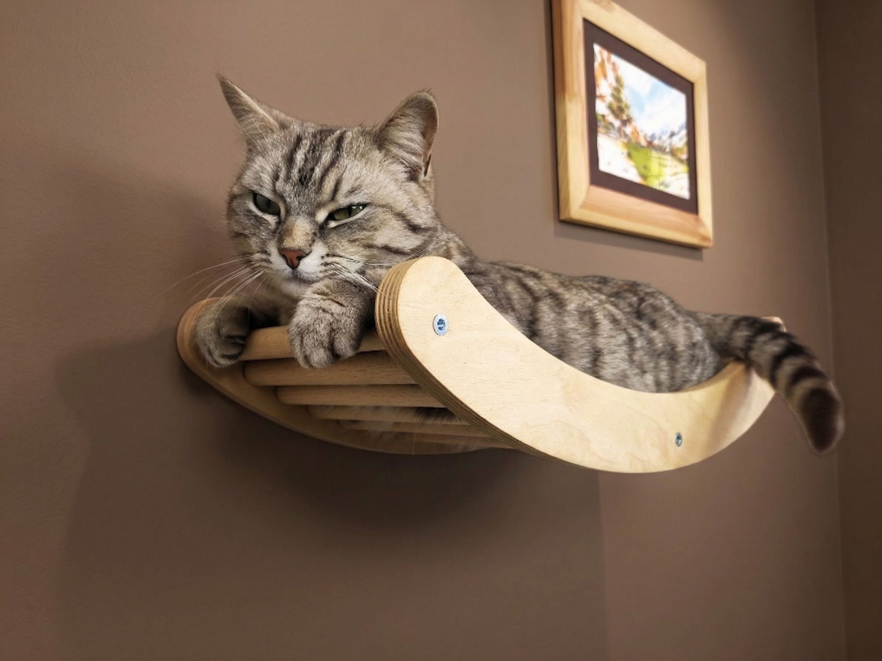 Single Wave Cat Climbing Shelf