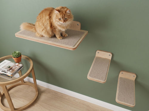 Carpeted Wall Mounted Cat Shelf with Steps