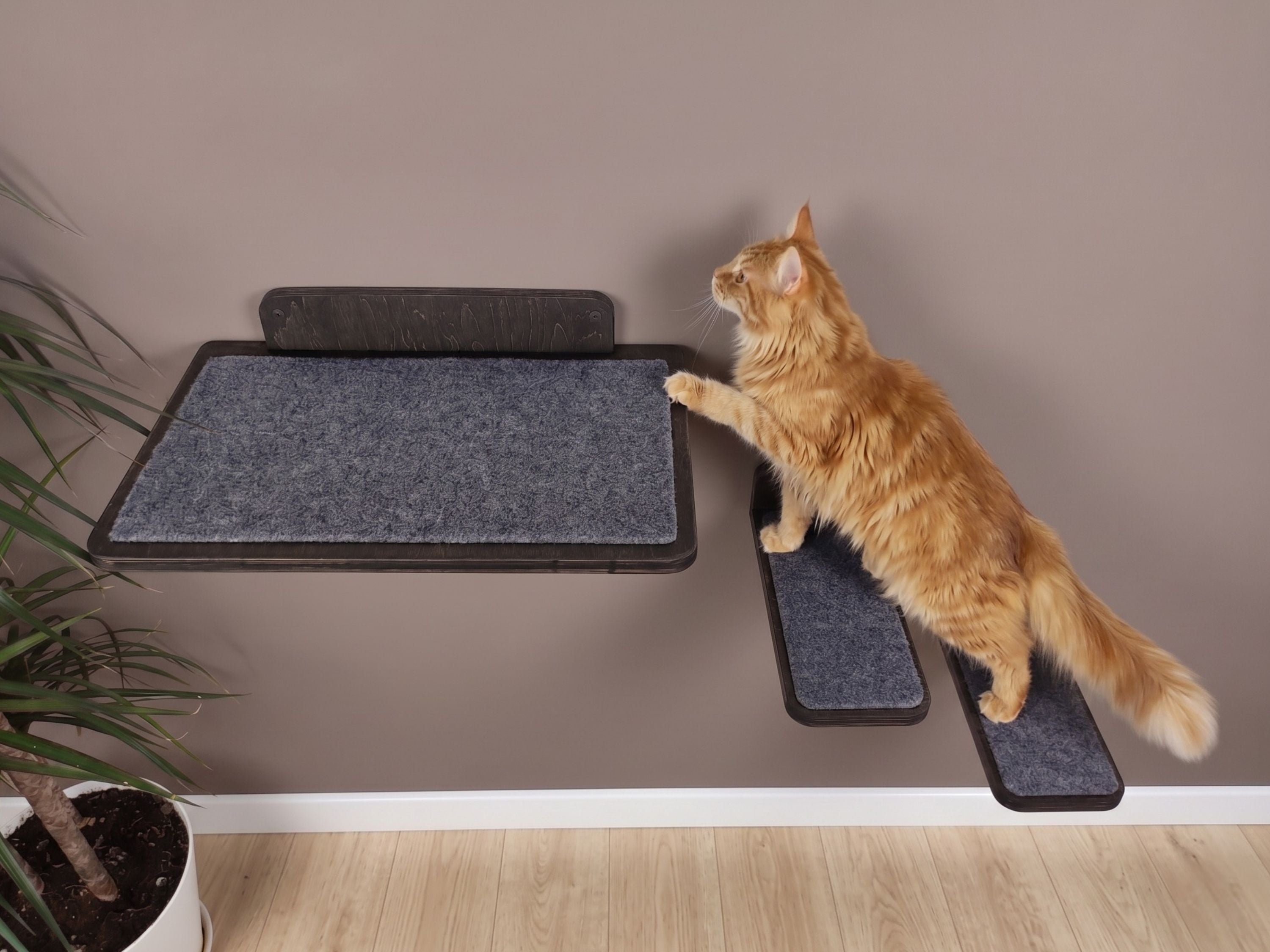 Carpeted Wall Mounted Cat Shelf with Steps