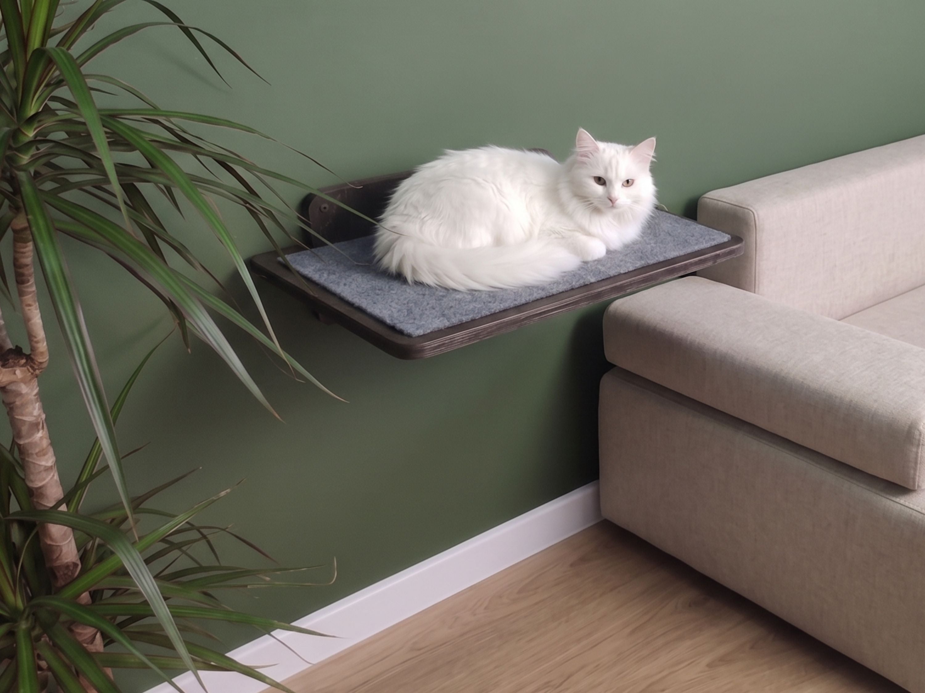 Cat Wall Mounted Shelves with Carpet
