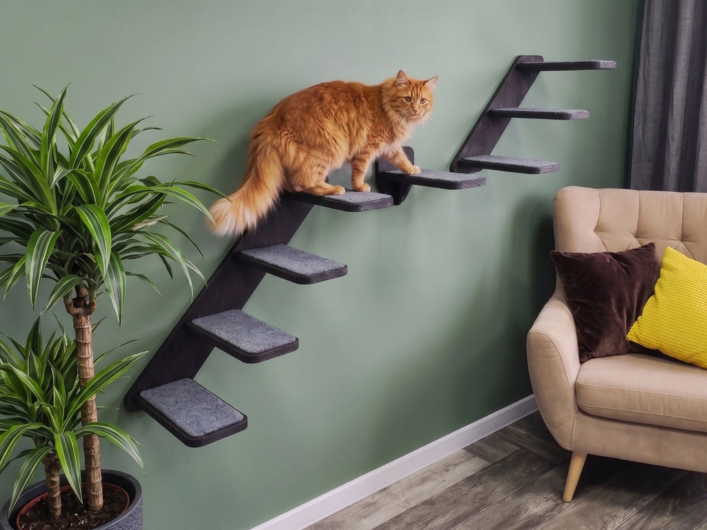 Set of Cat Ladder with Cat Wall Steps