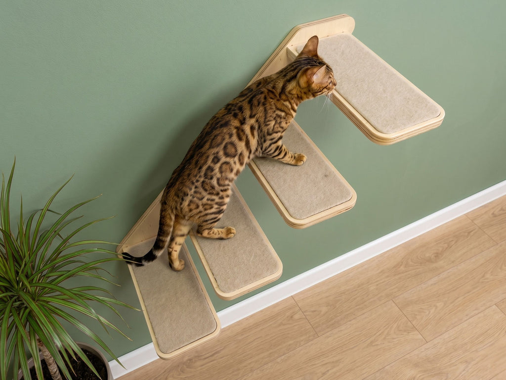 Cat wall ladder with steps