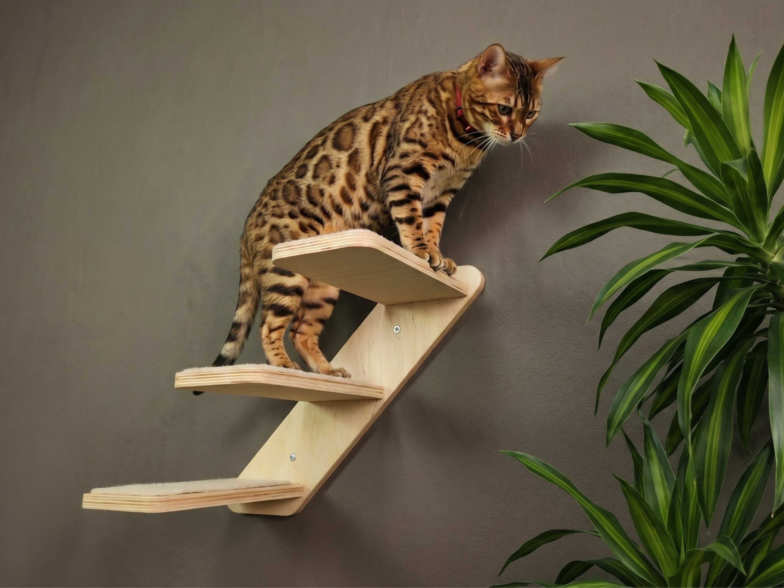 Cat wall ladder with steps