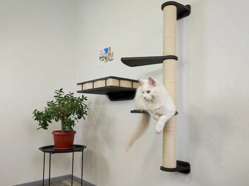 Wall Mounted Cat bed with Cat Scratching post