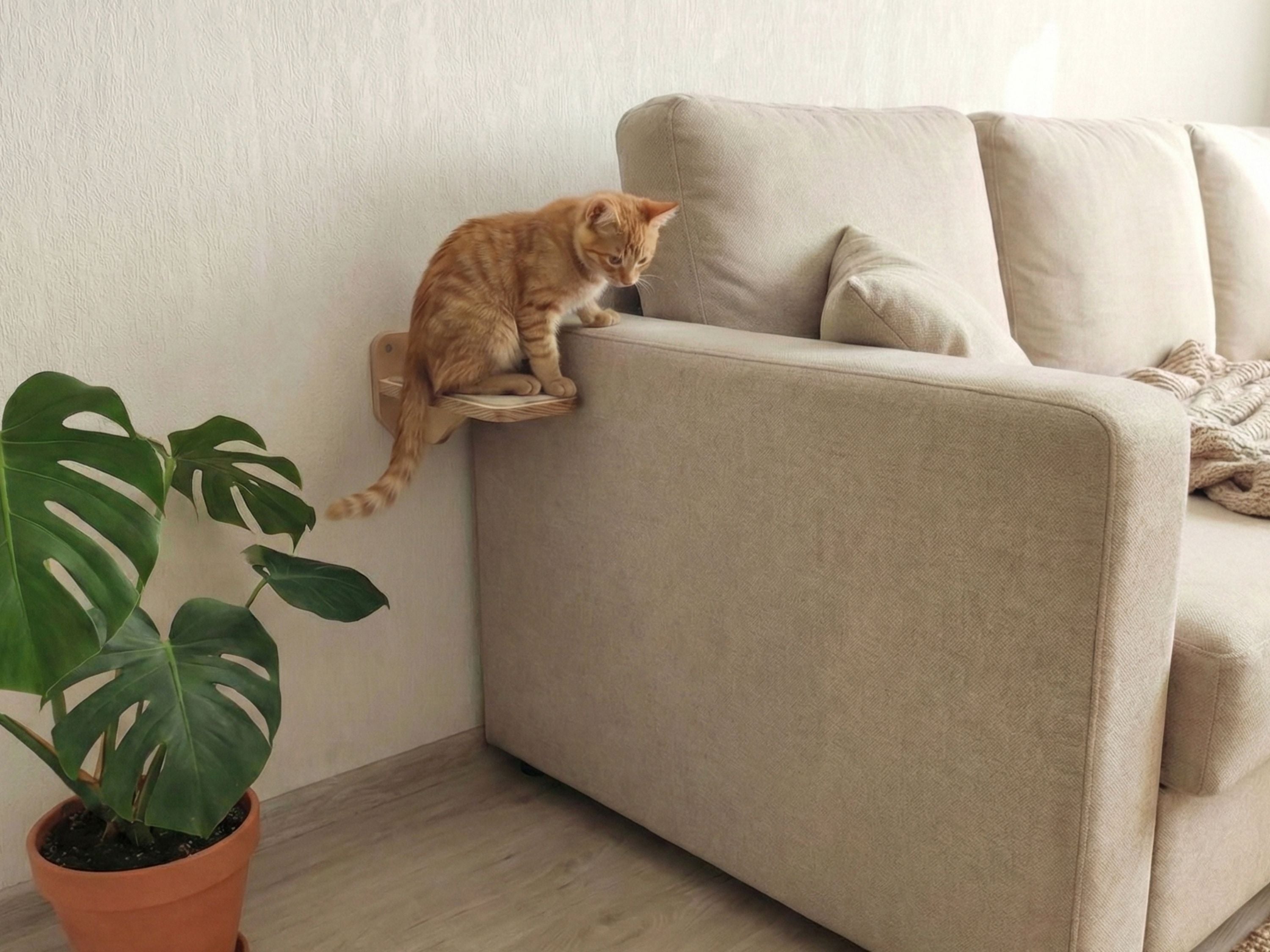 Large Flat Cat Wall Steps