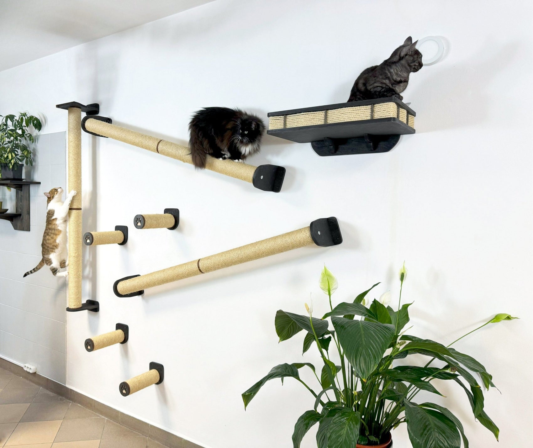 Vertical Cat Play System �C Steps, Shelf & Scratching Posts
