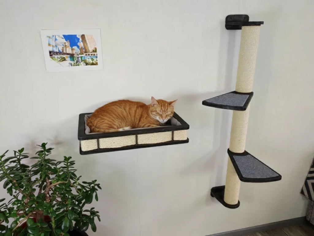 Wall Mounted Cat bed with Cat Scratching post