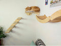 Cat Wall Playground - Steps, Shelf & Climbing Wave