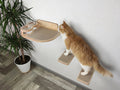 Cat Feeding Shelf with Bowls & Steps �?Elevated Wall Furniture