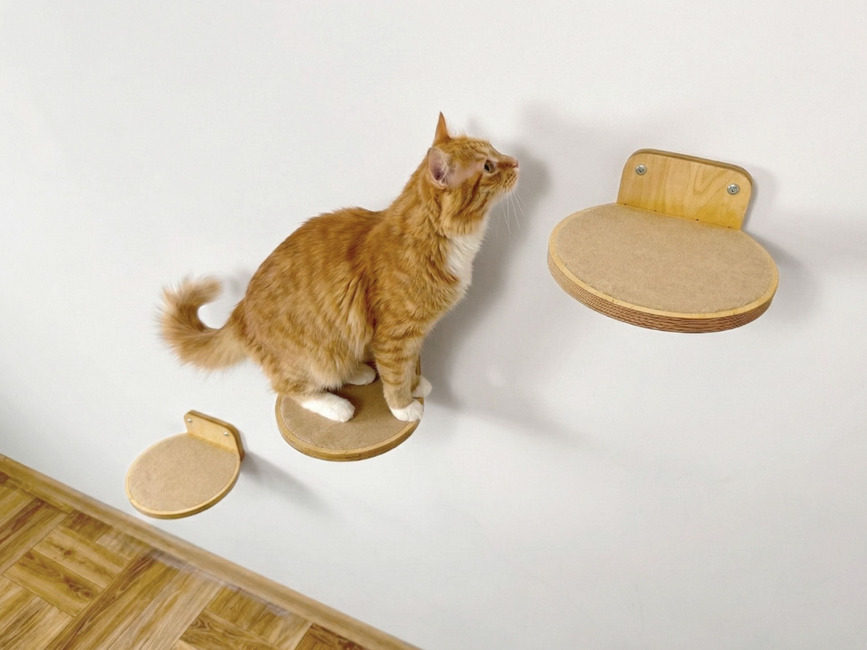 Set of Three Round Wall Steps