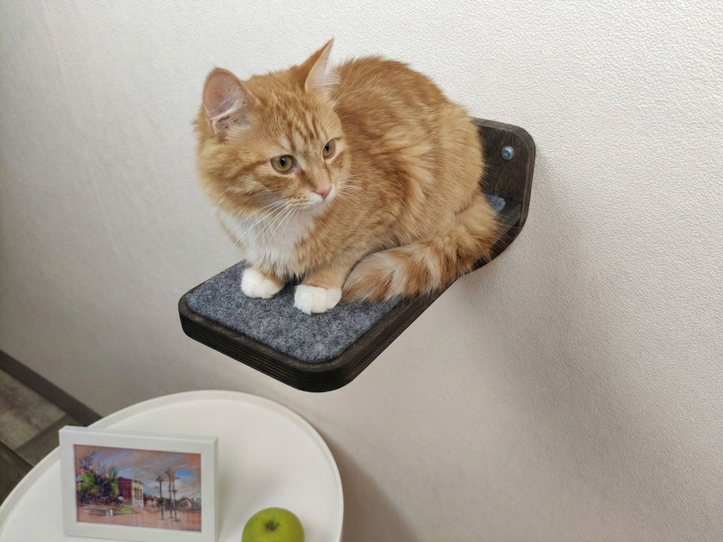 Large Flat Cat Wall Steps