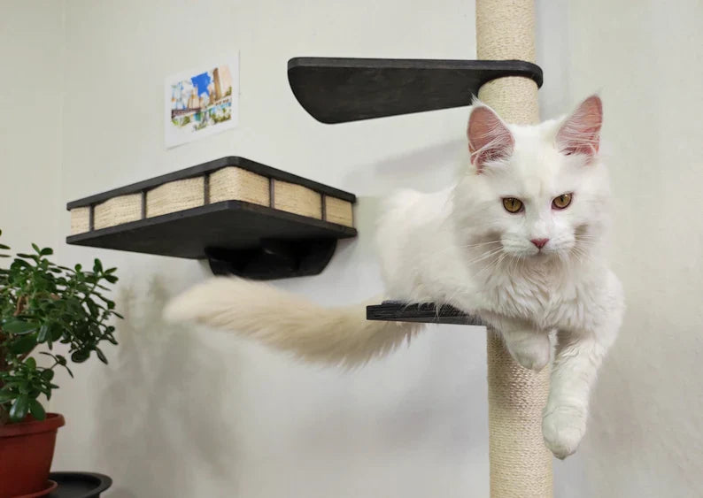 Wall Mounted Cat bed with Cat Scratching post