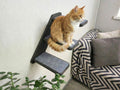 Cat wall ladder with steps