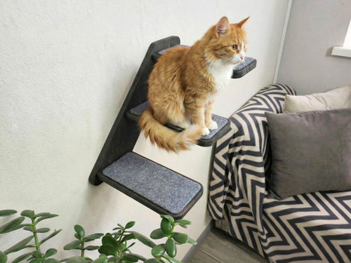 Cat wall ladder with steps