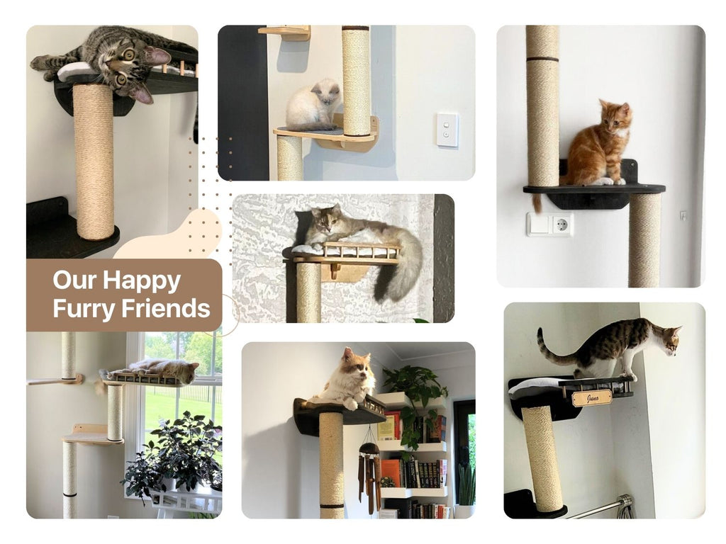 Wall-Mounted Cat Tree with Bed & Sisal Posts "Snake"