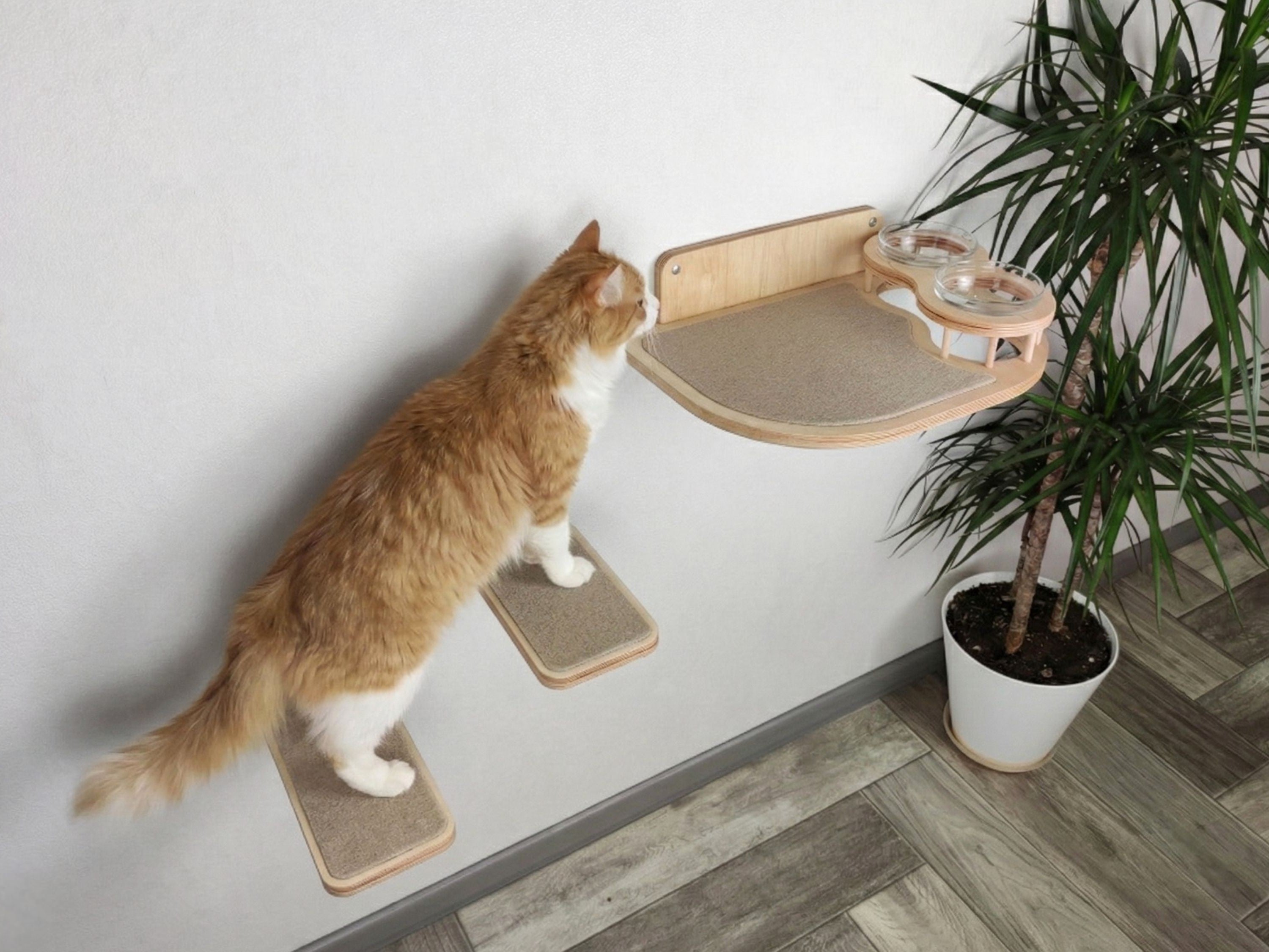 Cat Feeding Shelf with Bowls & Steps �?Elevated Wall Furniture