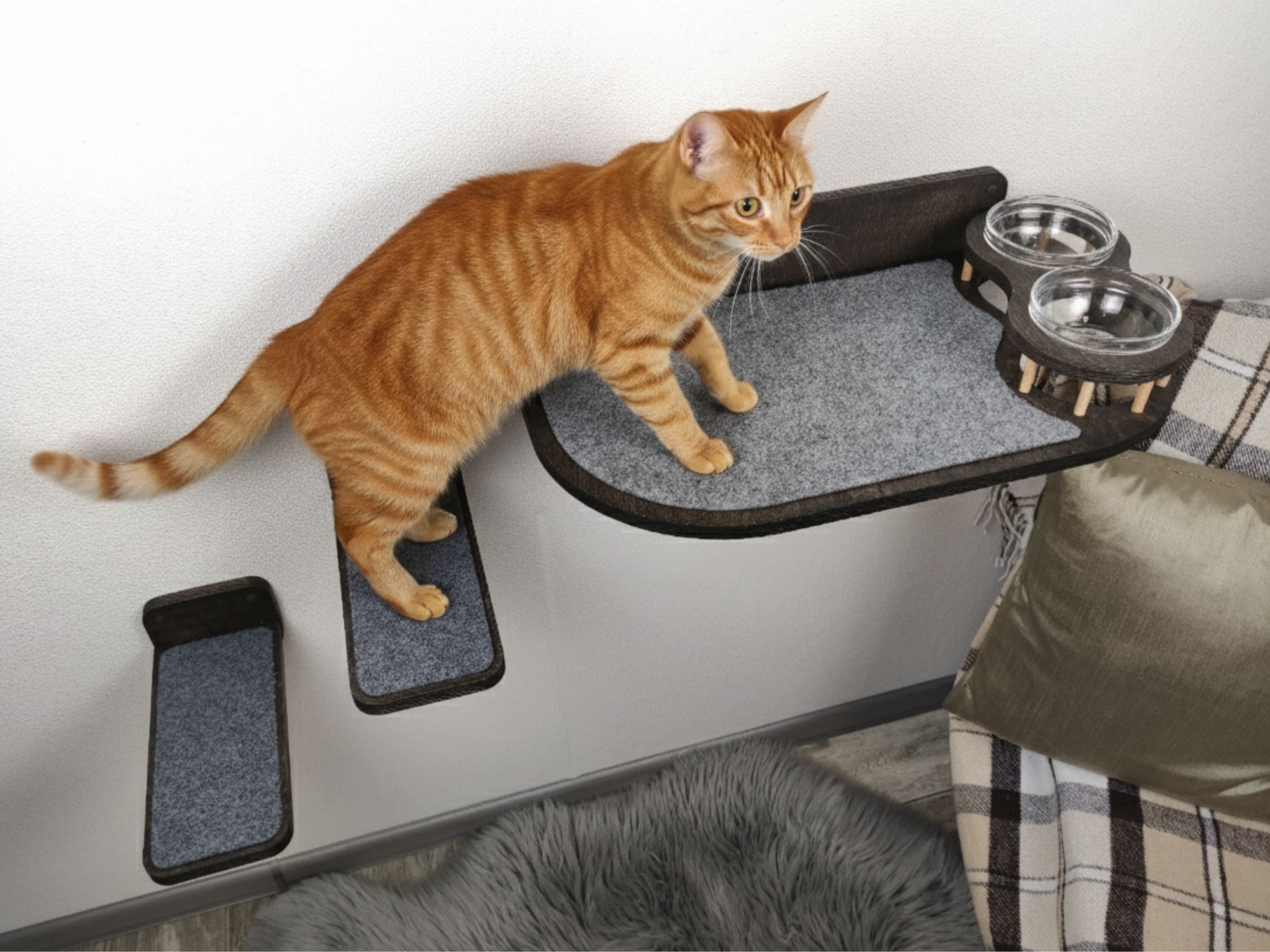 Set of Cat Wall Shelves with Food Bowls and Steps