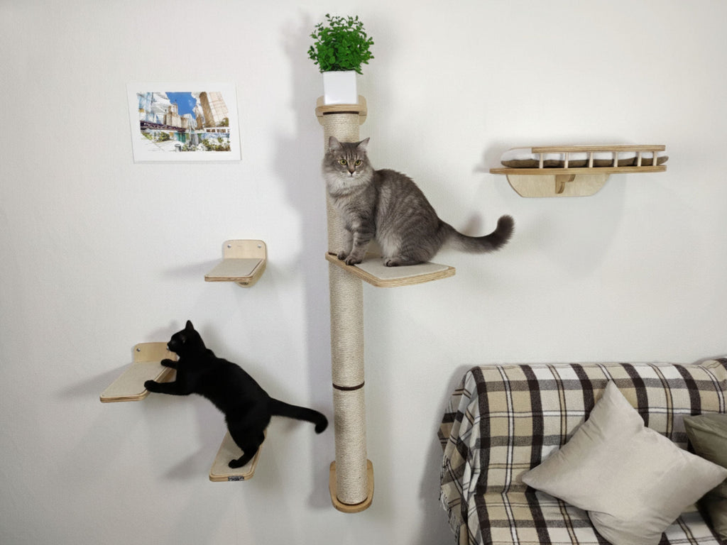 Cat Wall Furniture Set with Bed, Steps & Scratching Post "Viny"