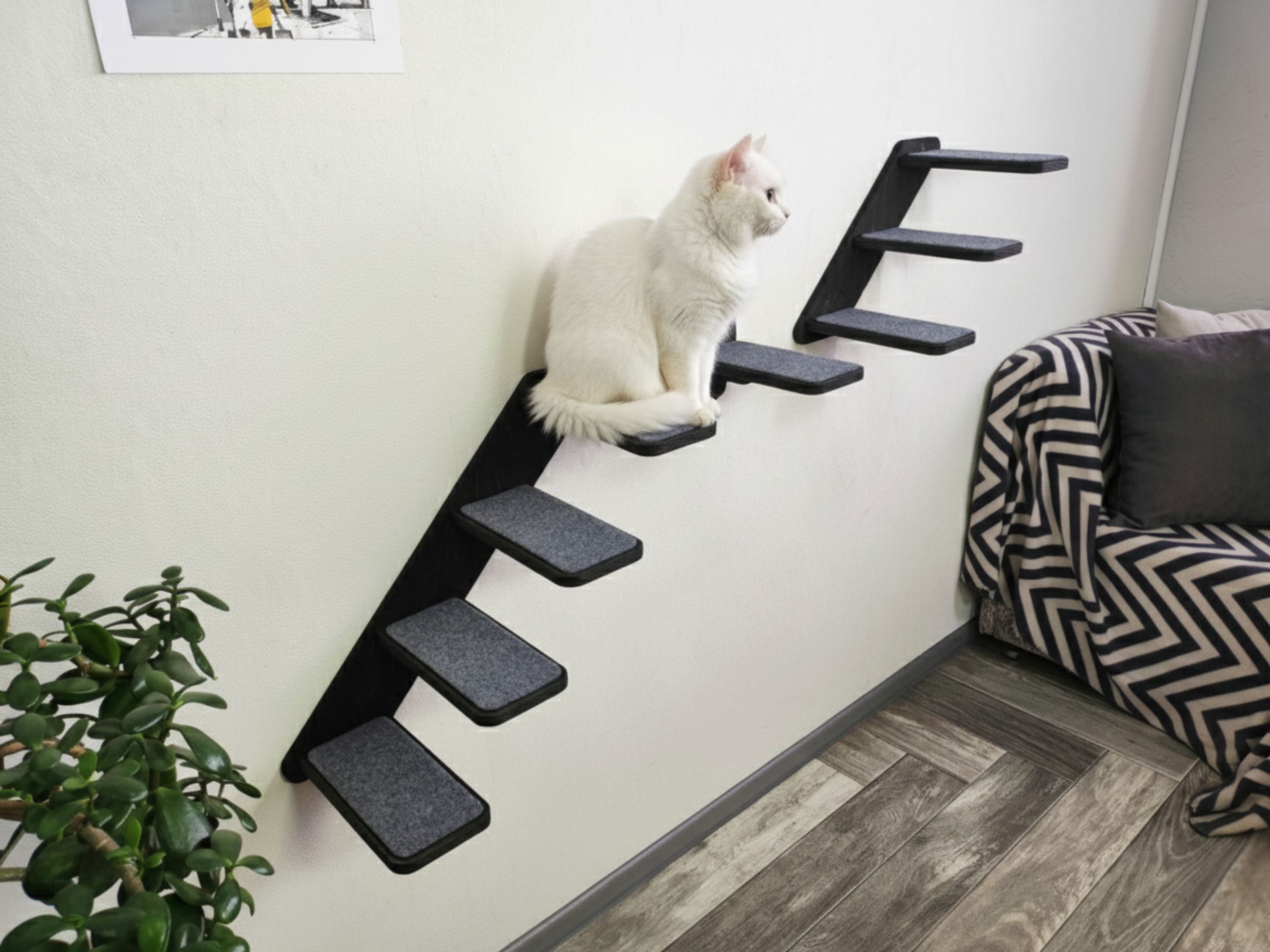 Set of Cat Ladder with Cat Wall Steps