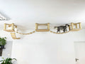 Ceiling Cat Adventure Set �?Shelves & Climbing Bridges