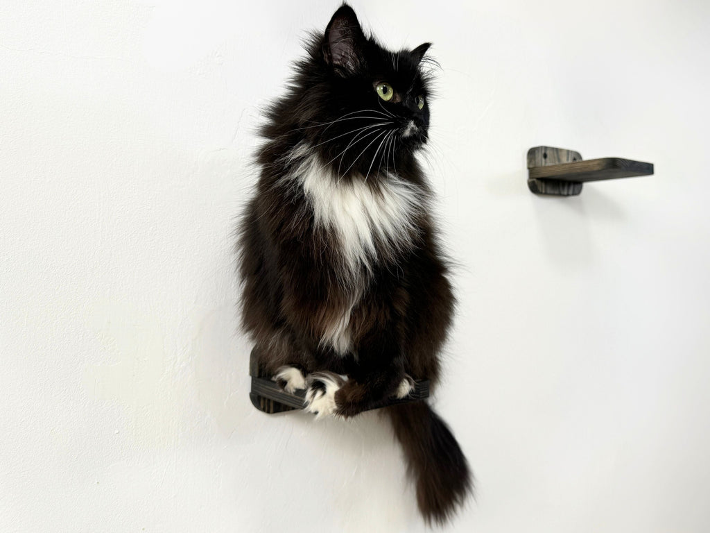 Set of 5 "mini" Cat Wall Steps