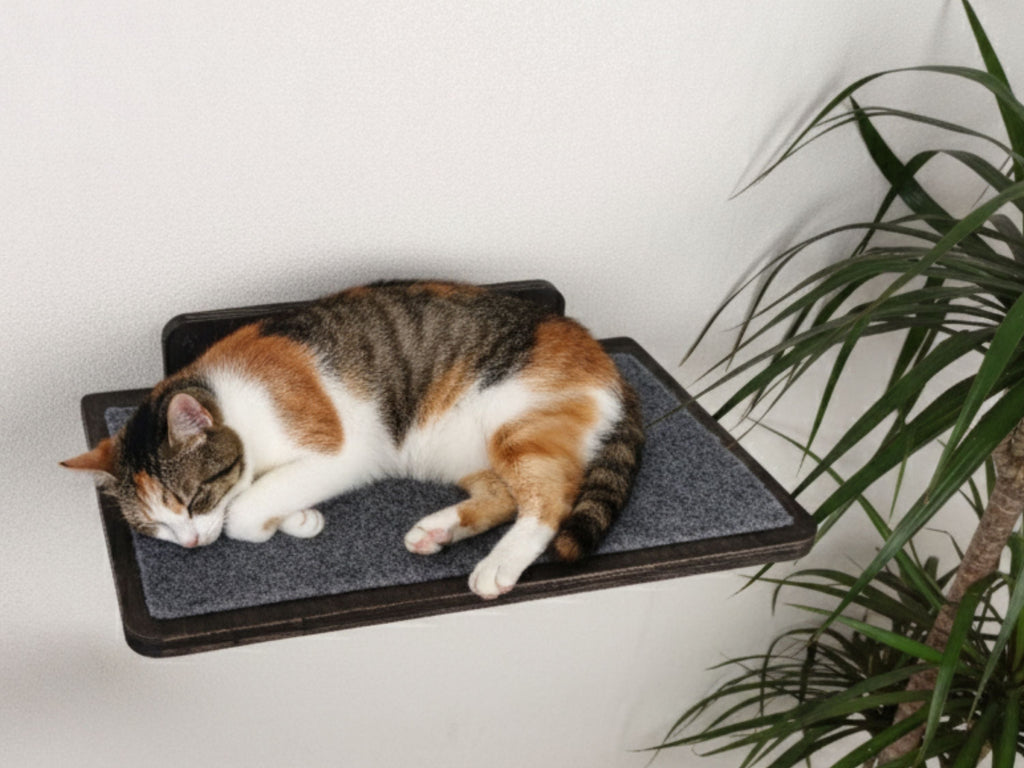 Cat Wall Mounted Shelves with Carpet