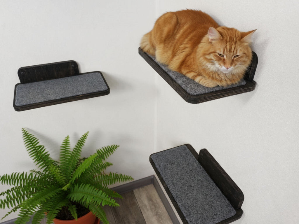 Set of Cat Wall Shelves for Room Corner