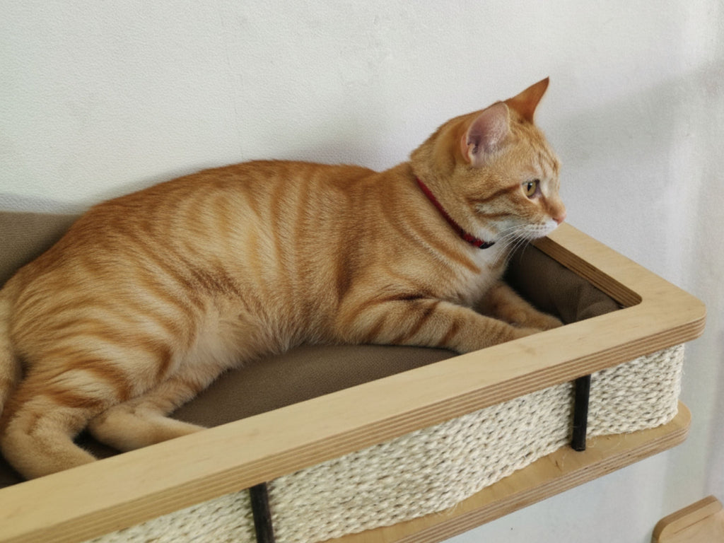 Wall-Mounted Cat Bed with Scratching Post & Steps �?