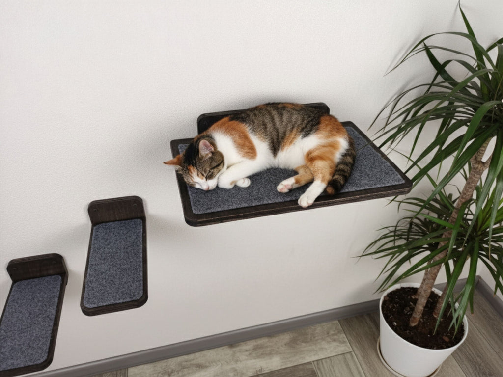 Carpeted Wall Mounted Cat Shelf with Steps