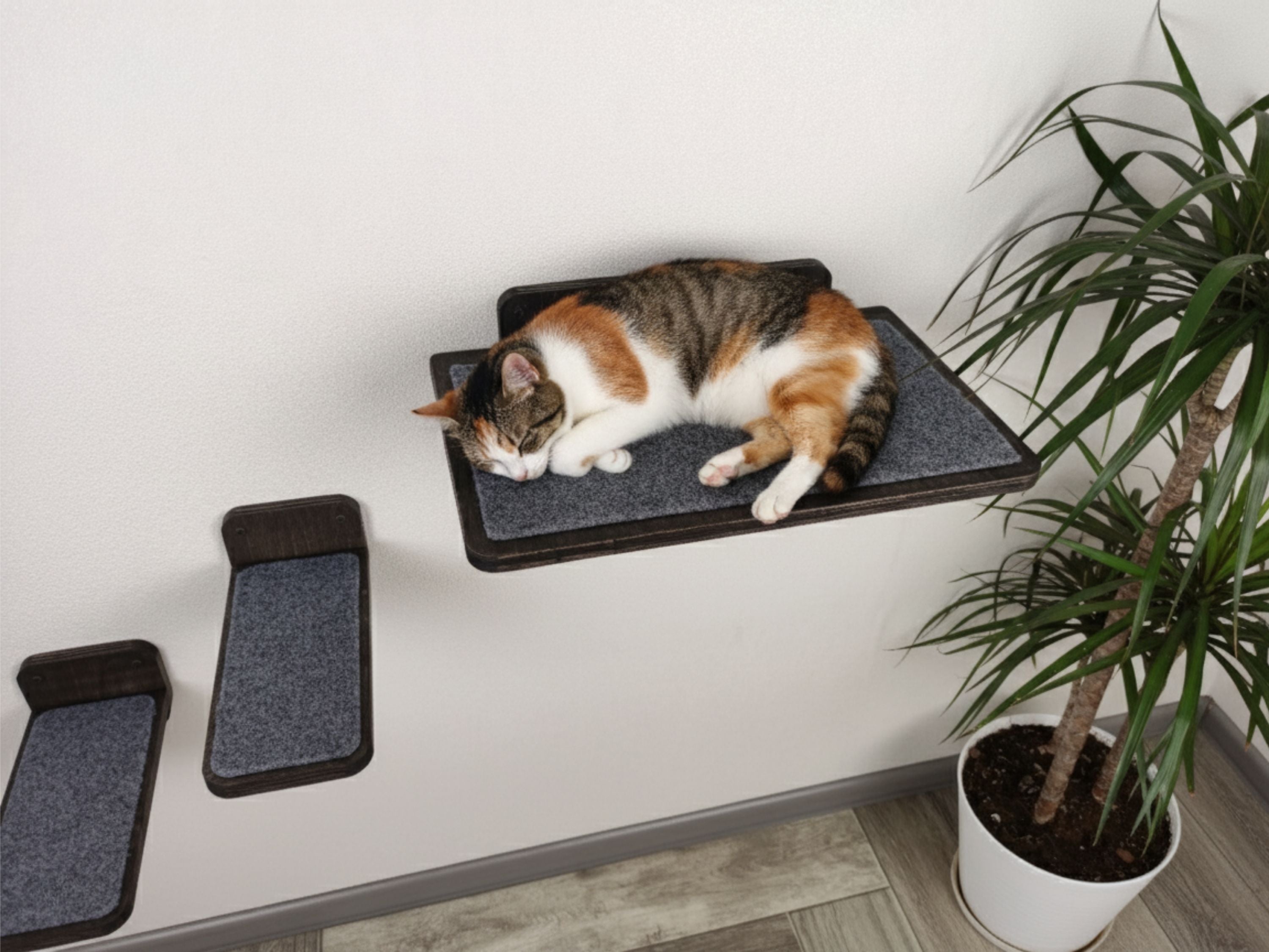 Carpeted Wall Mounted Cat Shelf with Steps