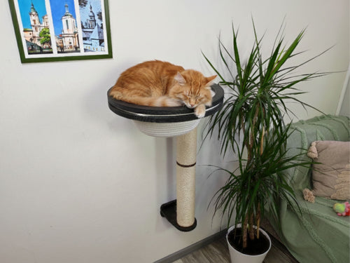 Cat Scratching Post with Round Basket (Cotton & Sisal)